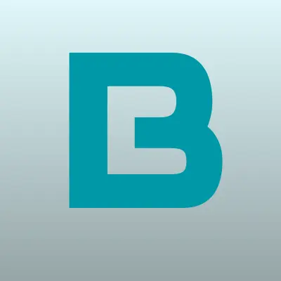 БТО-Юг, компания, лого-визитка